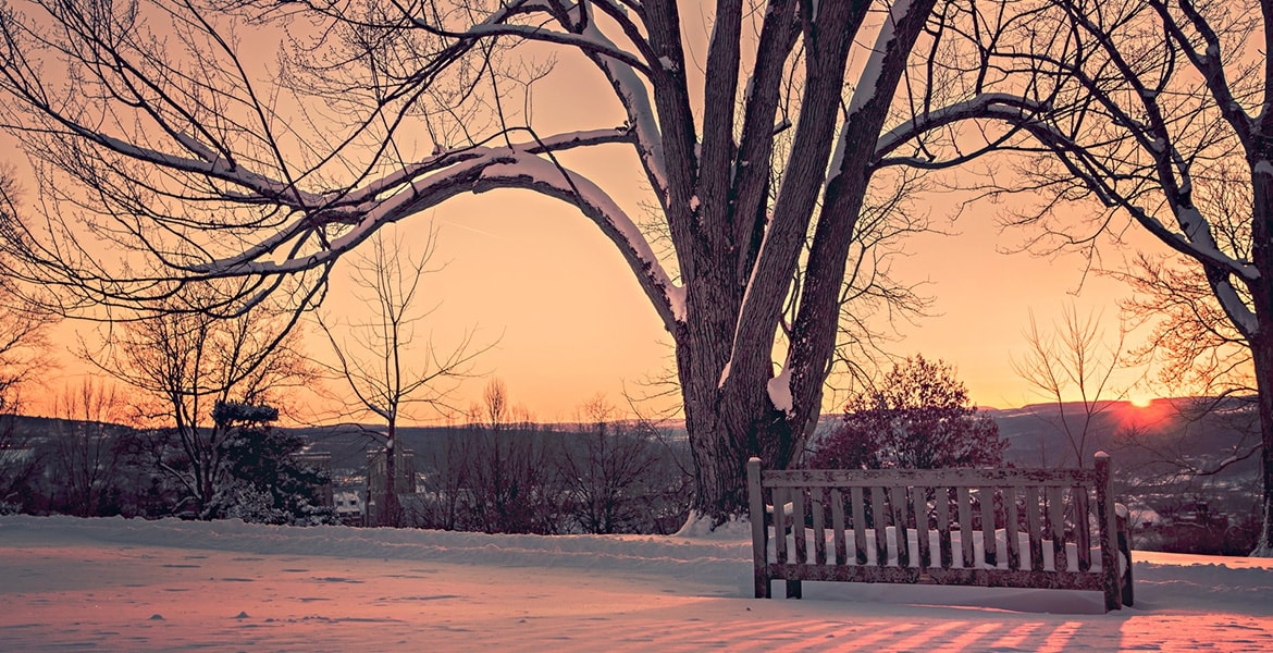 Nullam imperdiet felis et