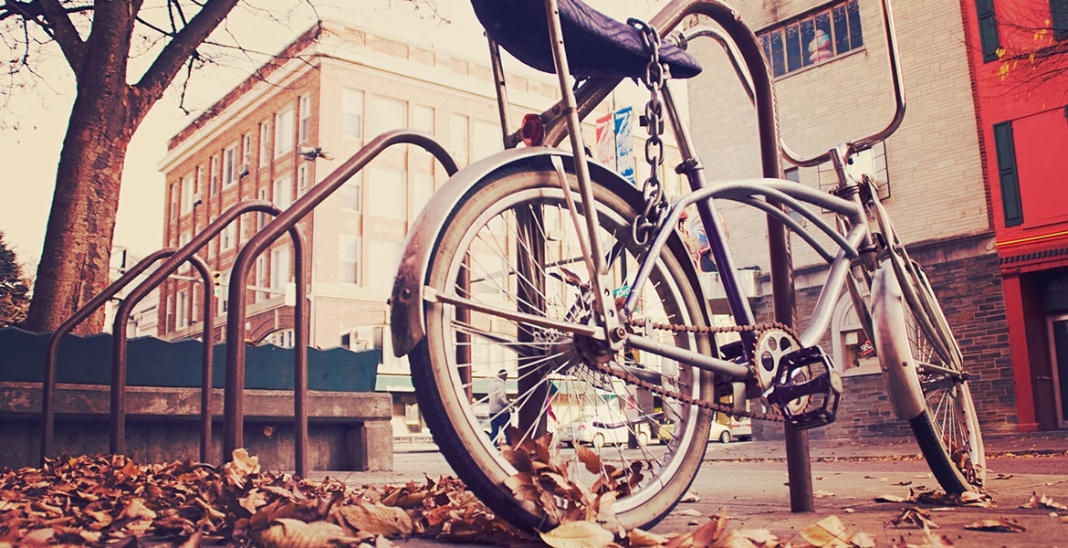 Sed varius arcu erat